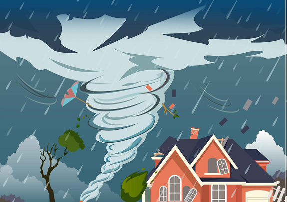 粤闽两省邮政管理部门组织行业全力做好台风防范应对工作